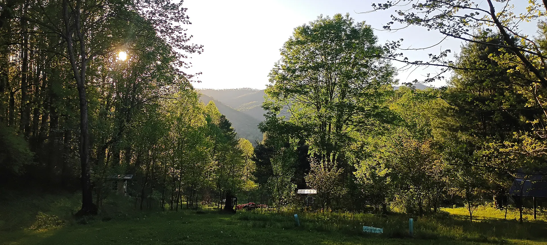Our Sacred Property — Mountain and Forest Views